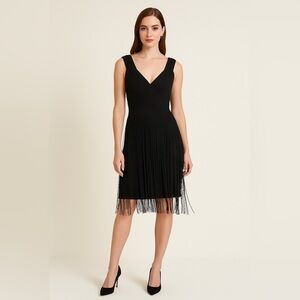 Tadashi Shoji Black Fringe Cocktail Dress | Size XS | Textured Woven Bodice
B020